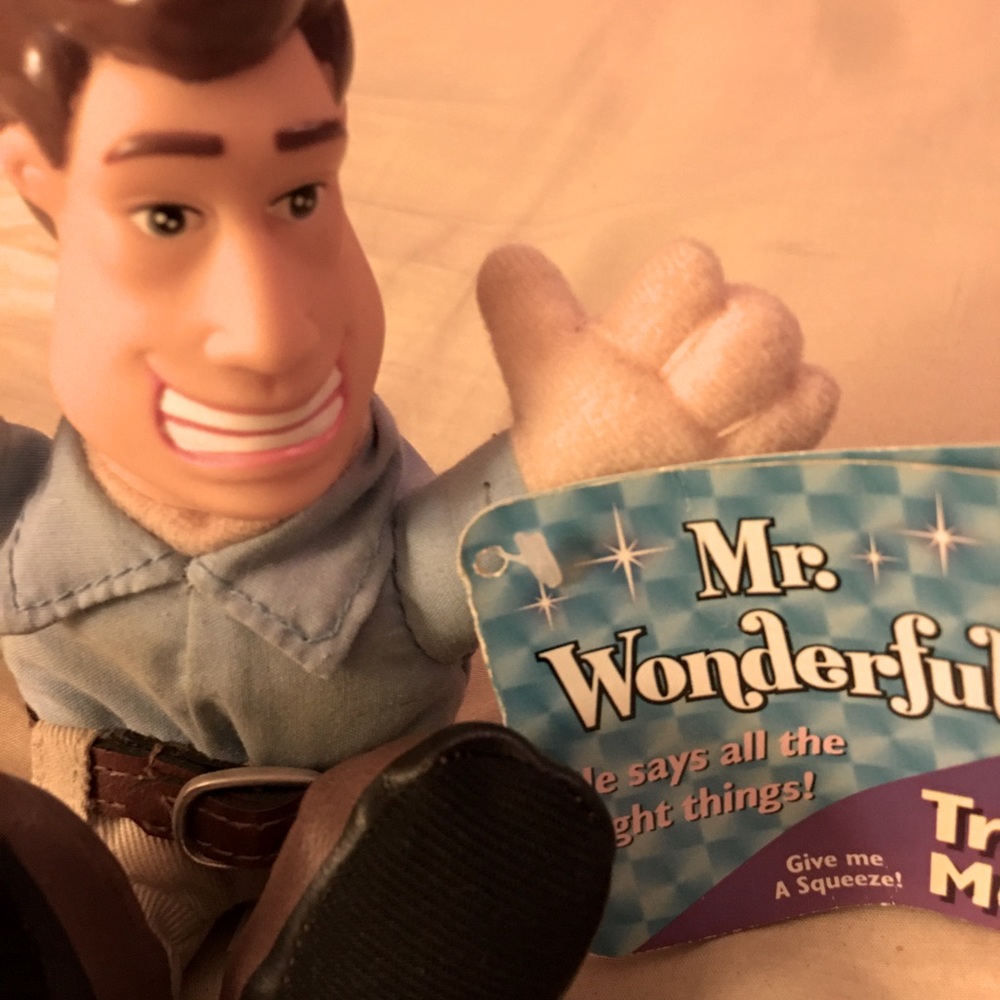 Mr wonderful doll, talks- says all the right things, perfect man.vintage